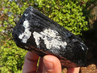 Natural Schorl Black Tourmaline Specimens x 6 From Erongo, Namibia - Toprock Gemstones and Minerals