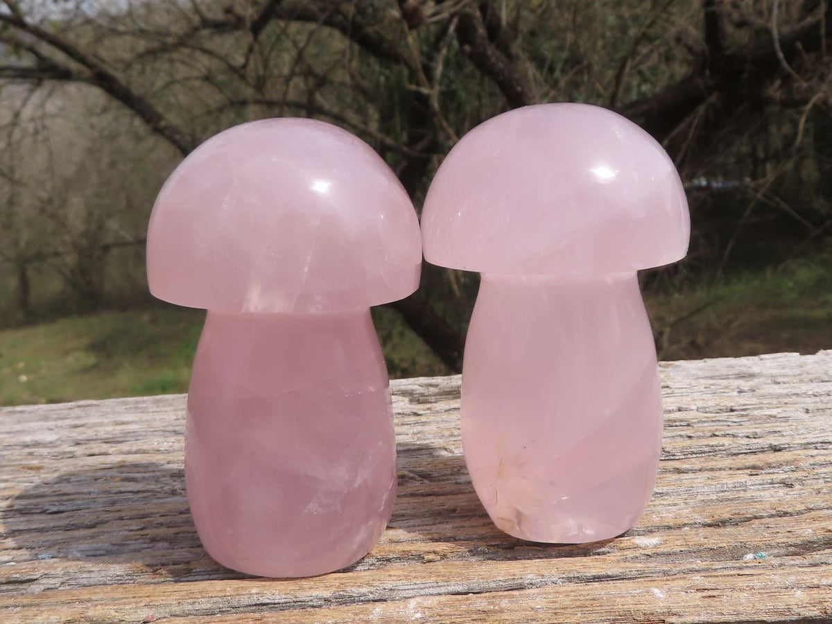 Polished Gemmy Pink Star Rose Quartz Mushrooms x 6 From Madagascar - TopRock