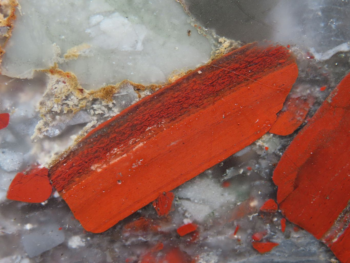 Polished Exceptional A Grade XXL Swaziland Bloodstone (Seftonite) Crystal x 1 From Swaziland - TopRock