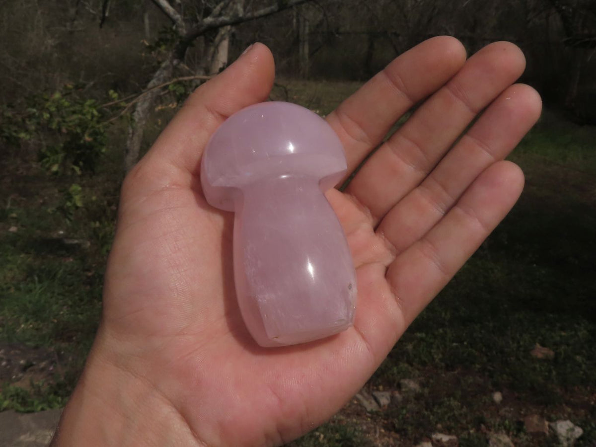 Polished Gemmy Pink Star Rose Quartz Mushrooms x 6 From Madagascar - TopRock