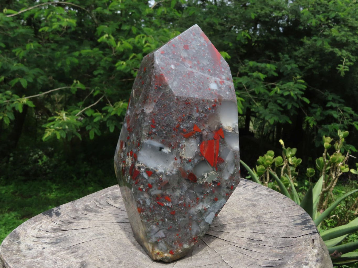 Polished Exceptional A Grade XXL Swaziland Bloodstone (Seftonite) Crystal x 1 From Swaziland - TopRock