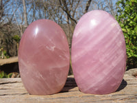Polished Pink Rose Quartz Standing Free Forms x 2 From Antsirabe, Madagascar - Toprock Gemstones and Minerals