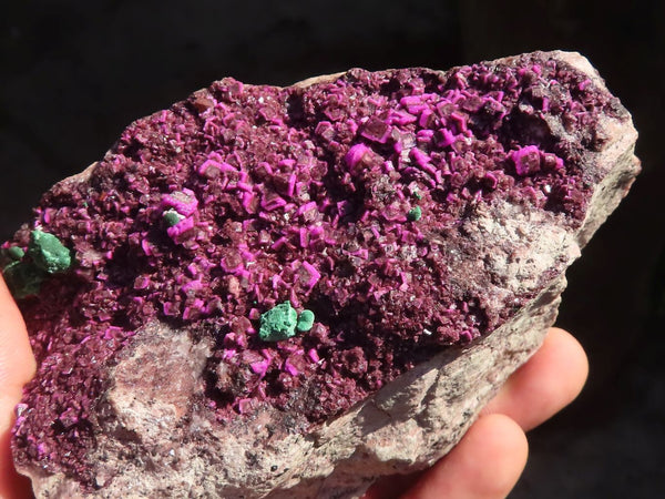 Natural Deep Pink Salrose Cobaltion Dolomite Specimens  x 3 From Kakanda, Congo - Toprock Gemstones and Minerals 