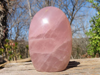 Polished Pink Rose Quartz Standing Free Forms x 2 From Antsirabe, Madagascar - Toprock Gemstones and Minerals
