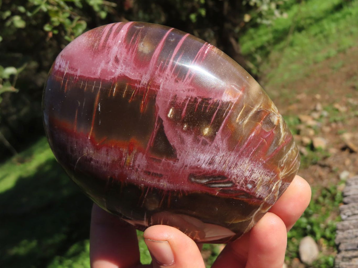 Polished Petrified Red Wood Standing Free Forms With Stunning Shades Of Pink x 3 From Mahajanga, Madagascar - TopRock