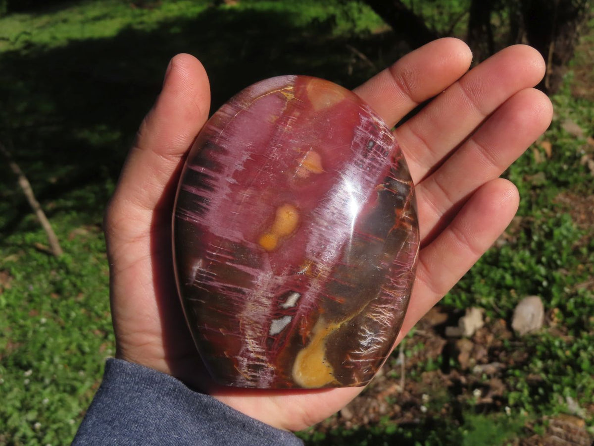 Polished Petrified Red Wood Standing Free Forms With Stunning Shades Of Pink x 3 From Mahajanga, Madagascar - TopRock