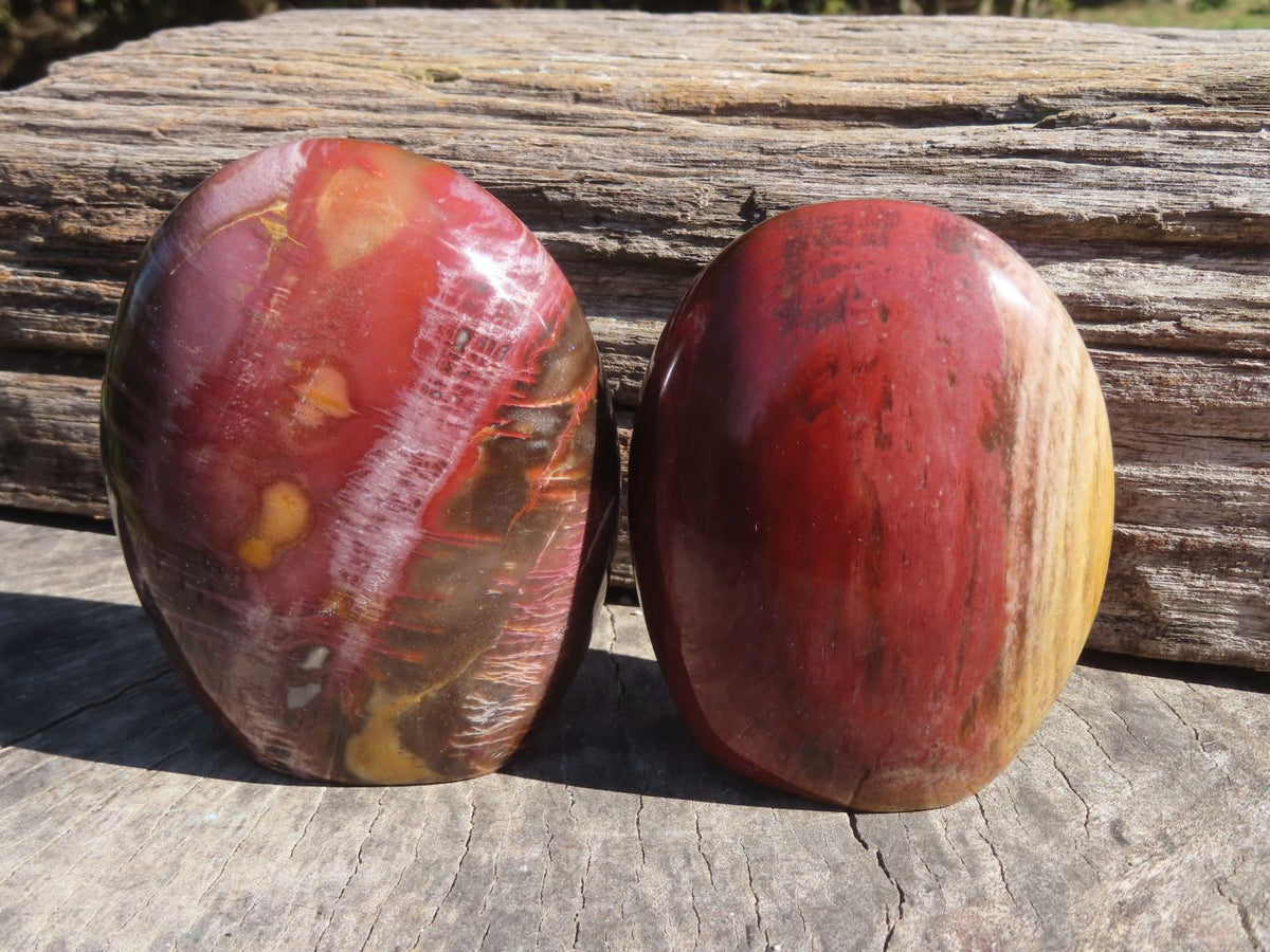 Polished Petrified Red Wood Standing Free Forms With Stunning Shades Of Pink x 3 From Mahajanga, Madagascar - TopRock