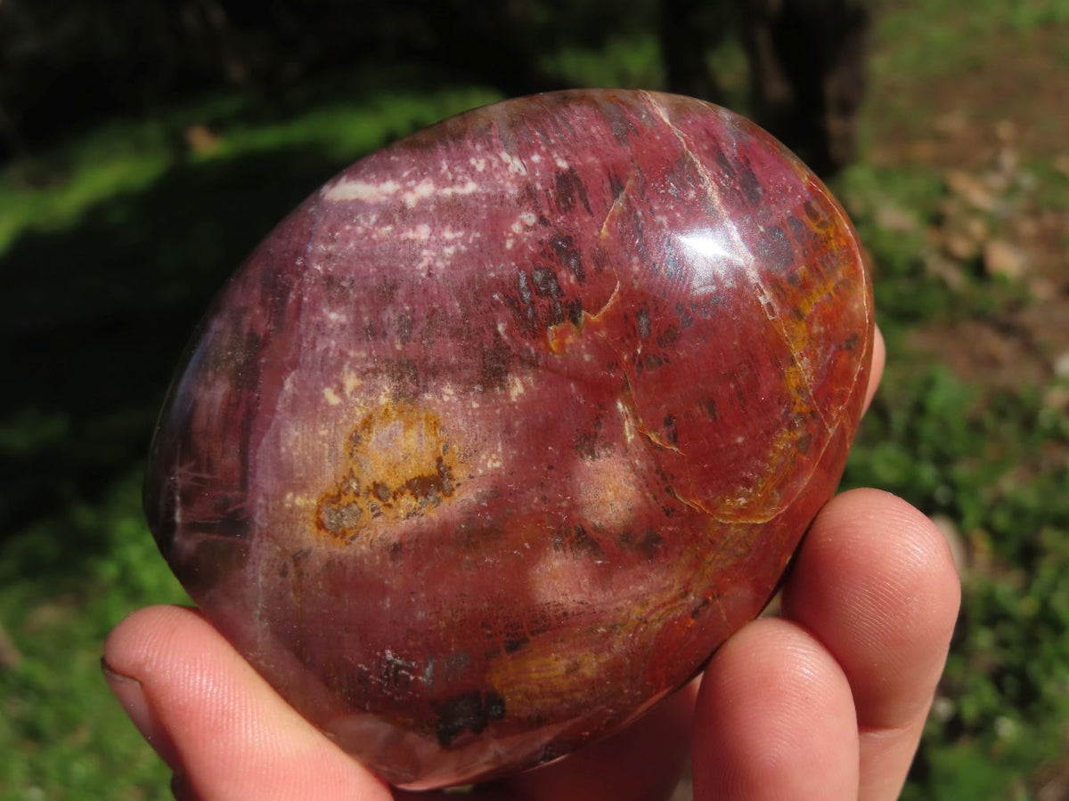 Polished Petrified Red Wood Standing Free Forms With Stunning Shades Of Pink x 3 From Mahajanga, Madagascar - TopRock
