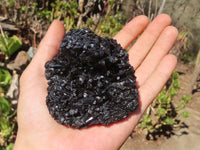 Natural Schorl Black Tourmaline Specimens x 6 From Erongo, Namibia - Toprock Gemstones and Minerals