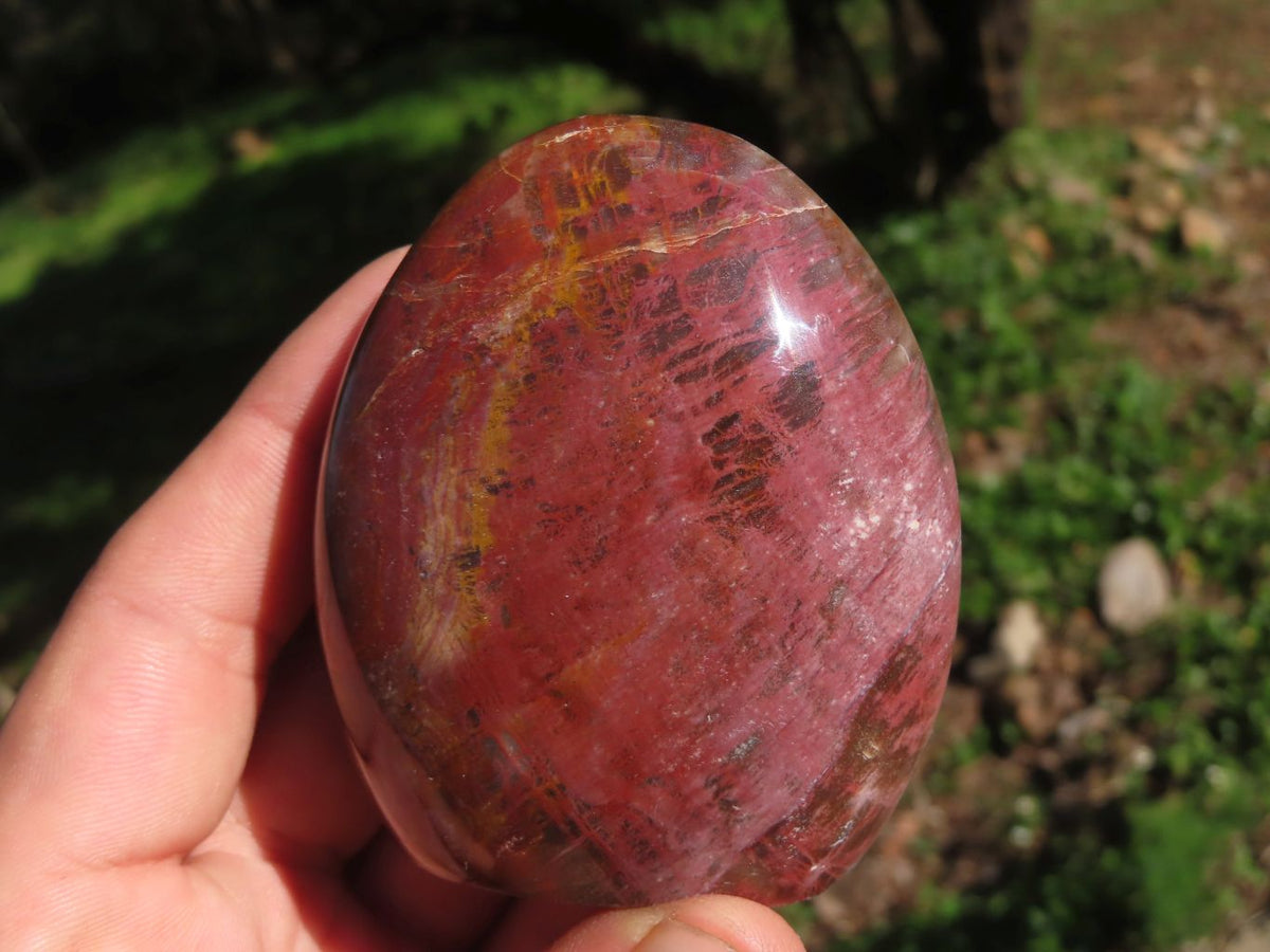 Polished Petrified Red Wood Standing Free Forms With Stunning Shades Of Pink x 3 From Mahajanga, Madagascar - TopRock