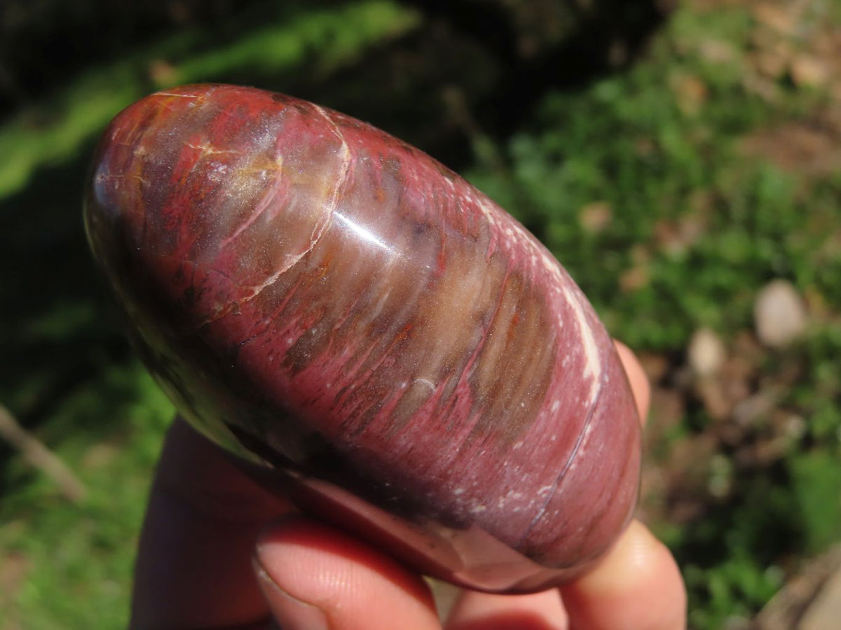 Polished Petrified Red Wood Standing Free Forms With Stunning Shades Of Pink x 3 From Mahajanga, Madagascar - TopRock