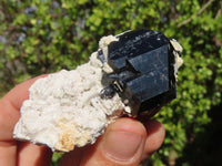 Natural Schorl Black Tourmaline Specimens x 6 From Erongo, Namibia - Toprock Gemstones and Minerals
