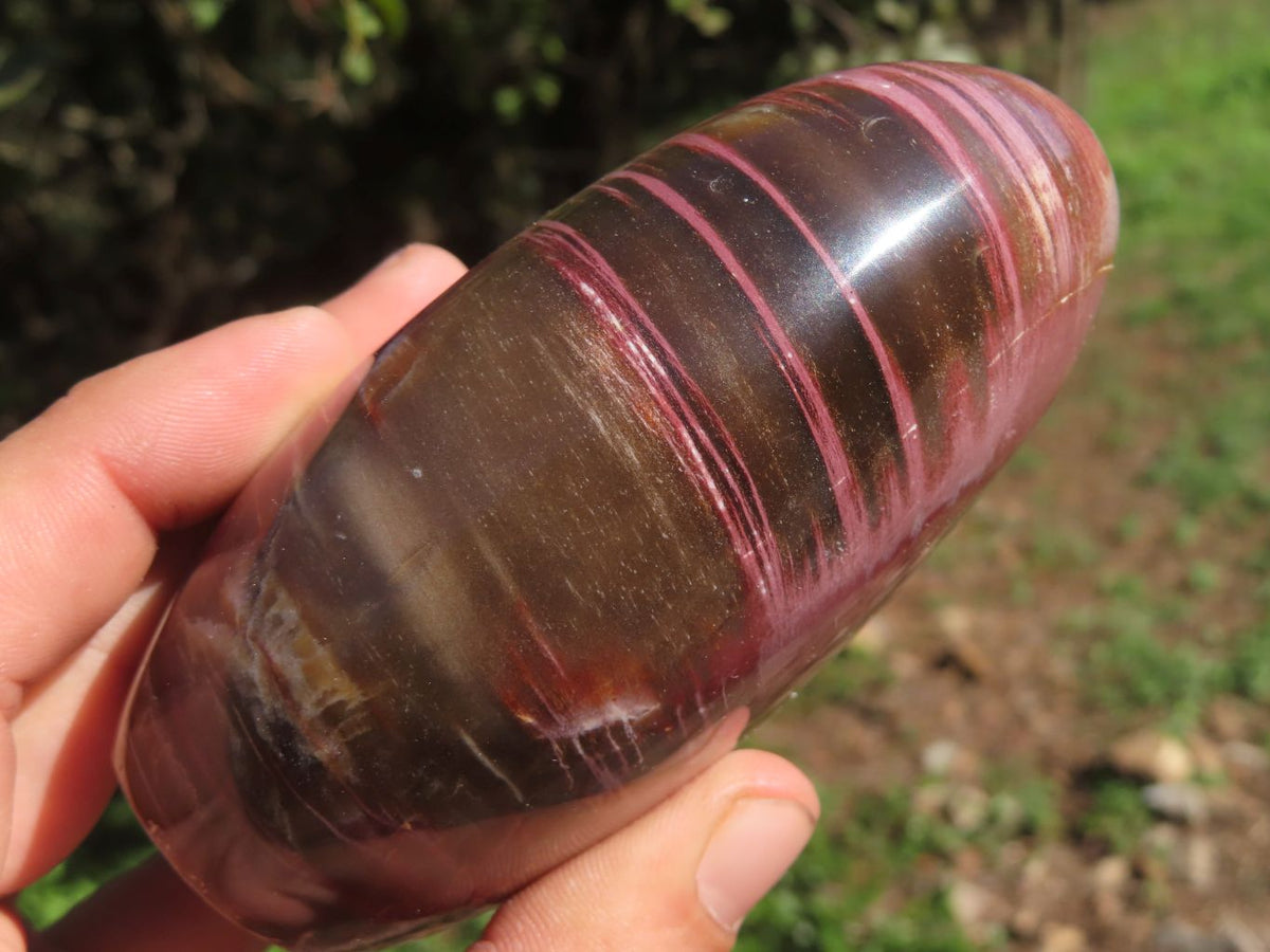 Polished Petrified Red Wood Standing Free Forms With Stunning Shades Of Pink x 3 From Mahajanga, Madagascar - TopRock