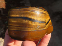 Polished Golden Tigers Eye Free Forms x 6 From Prieska, Northern Cape - Toprock Gemstones and Minerals
