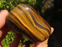 Polished Golden Tigers Eye Free Forms x 6 From Prieska, Northern Cape - Toprock Gemstones and Minerals