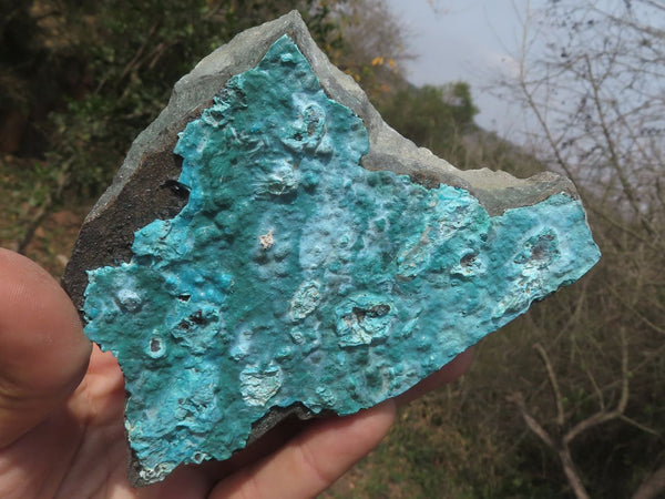 Natural Blue Silica Chrysocolla Specimens  x 6 From Congo - TopRock