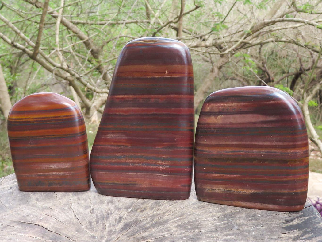 Polished Banded Tiger Iron / Muggle Stone Standing Free Forms x 3 From Prieska, Northern Cape - TopRock