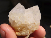 Natural White Cactus Flower Spirit Quartz Specimens x 35 From Boekenhouthoek, South Africa - Toprock Gemstones and Minerals