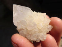 Natural White Cactus Flower Spirit Quartz Specimens x 35 From Boekenhouthoek, South Africa - Toprock Gemstones and Minerals