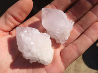 Natural White Cactus Flower Spirit Quartz Specimens x 35 From Boekenhouthoek, South Africa - Toprock Gemstones and Minerals