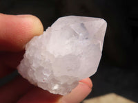Natural White Cactus Flower Spirit Quartz Specimens x 35 From Boekenhouthoek, South Africa - Toprock Gemstones and Minerals