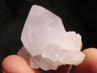 Natural White Cactus Flower Spirit Quartz Specimens x 35 From Boekenhouthoek, South Africa - Toprock Gemstones and Minerals