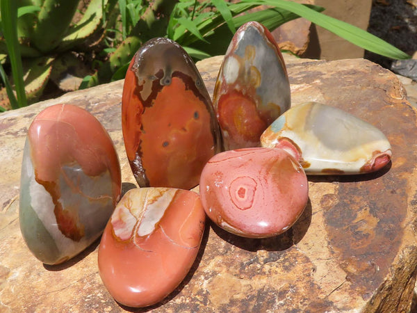 Polished Polychrome / Picasso Jasper Standing Free Forms  x 6 From Madagascar - TopRock