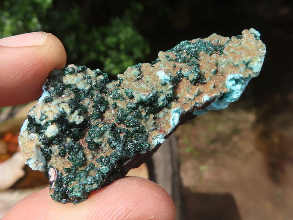 Natural Mixed Copper Dolomite Minerals   x 17 From Congo - TopRock