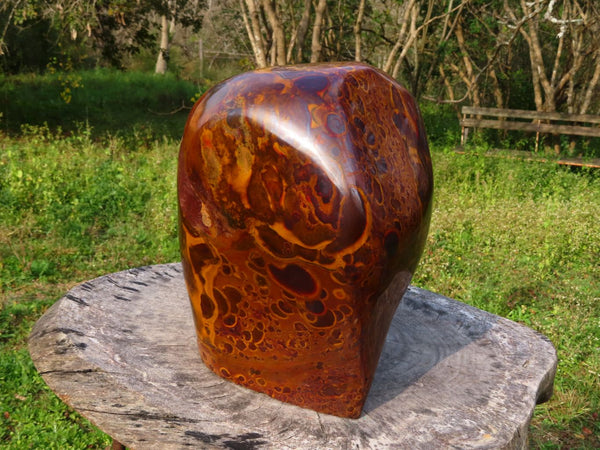 Polished Extra large Scenic Luminar Ironstone Jasper Free Form x 1 From Northern Cape, South Africa - TopRock