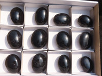 Polished Schorl Black Tourmaline Palm Stones  x 12 From Madagascar - Toprock Gemstones and Minerals