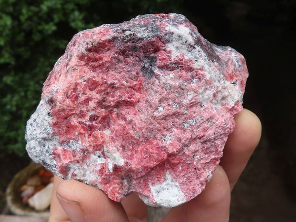 Natural Rough Red Rhodonite Cobbed Specimens  x 6 From Zimbabwe - TopRock