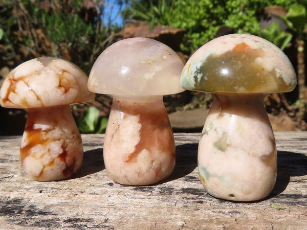 Polished Highly Selected Coral Flower Agate Mushroom Carvings  x 20 From Madagascar - Toprock Gemstones and Minerals 