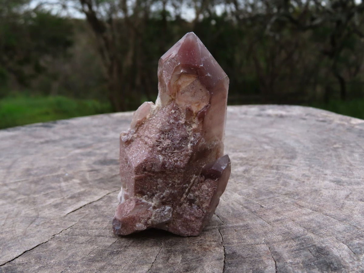 Natural Red Hematoid Quartz Crystals x 12 From Karoi, Zimbabwe - TopRock