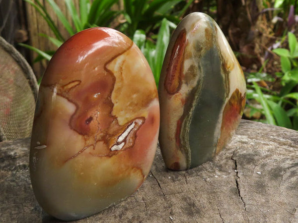 Polished Polychrome / Picasso Jasper Standing Free Forms  x 12 From Madagascar - TopRock