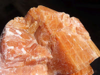 Natural New Sunset Orange Calcite Specimens  x 12 From Spitzkop, Namibia - Toprock Gemstones and Minerals