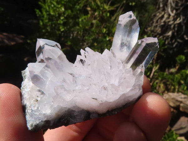 Natural Mixed Clear Quartz & Amethyst Matrix Clusters  x 12 From Brandberg, Namibia - Toprock Gemstones and Minerals 