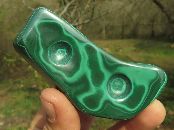 Polished Malachite Free Forms With Gorgeous Flower Patterns  x 6 From Congo - TopRock