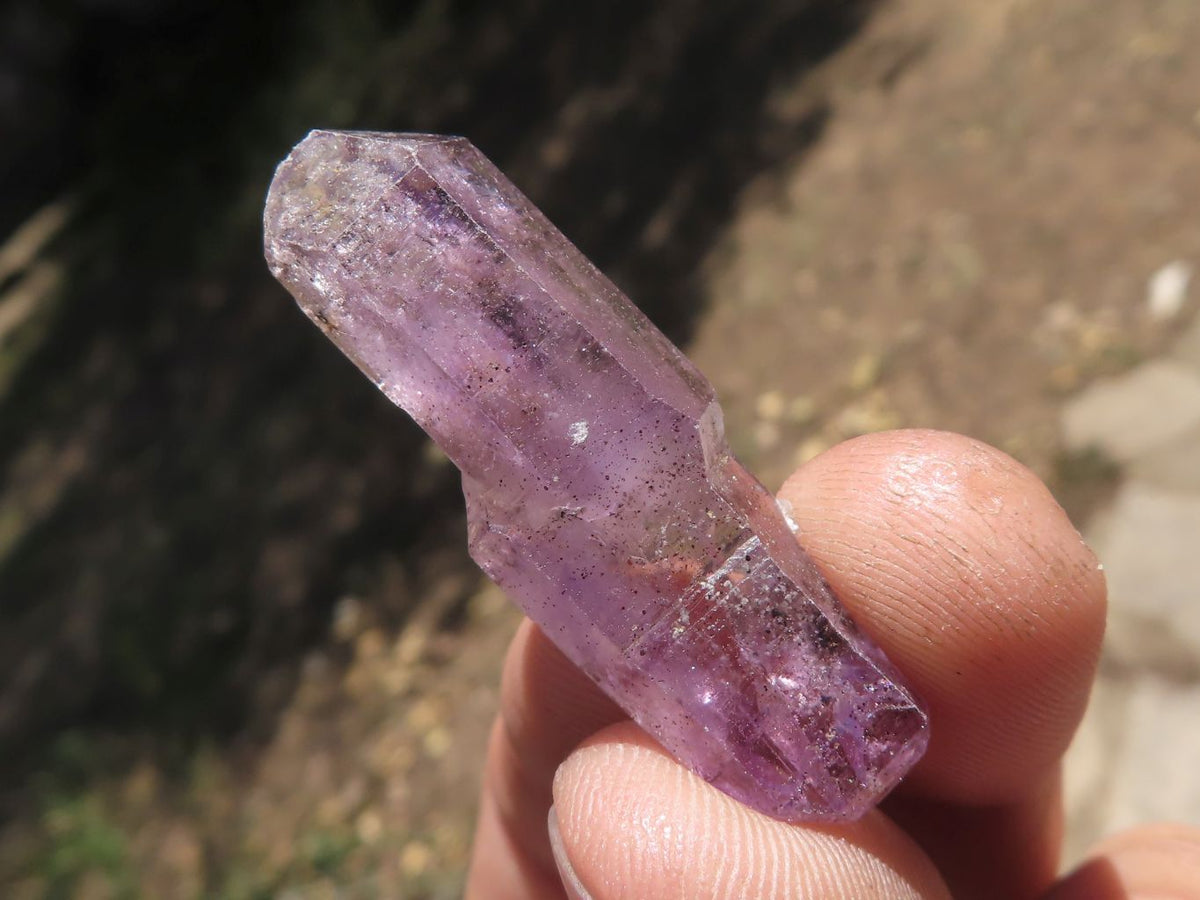 Natural Small Single Window Amethyst Crystals x 65 From Chiredzi, Zimbabwe - TopRock