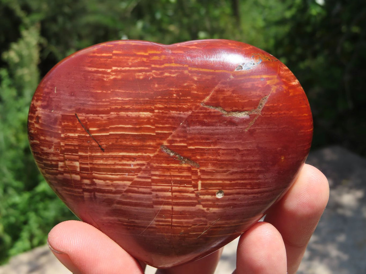 Polished Mixed Jasper Hearts x 6 From Madagascar - TopRock