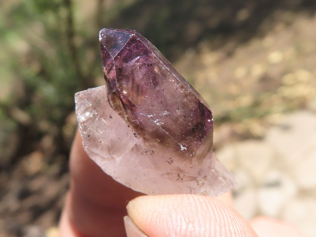 Natural Small Single Window Amethyst Crystals x 65 From Chiredzi, Zimbabwe - TopRock