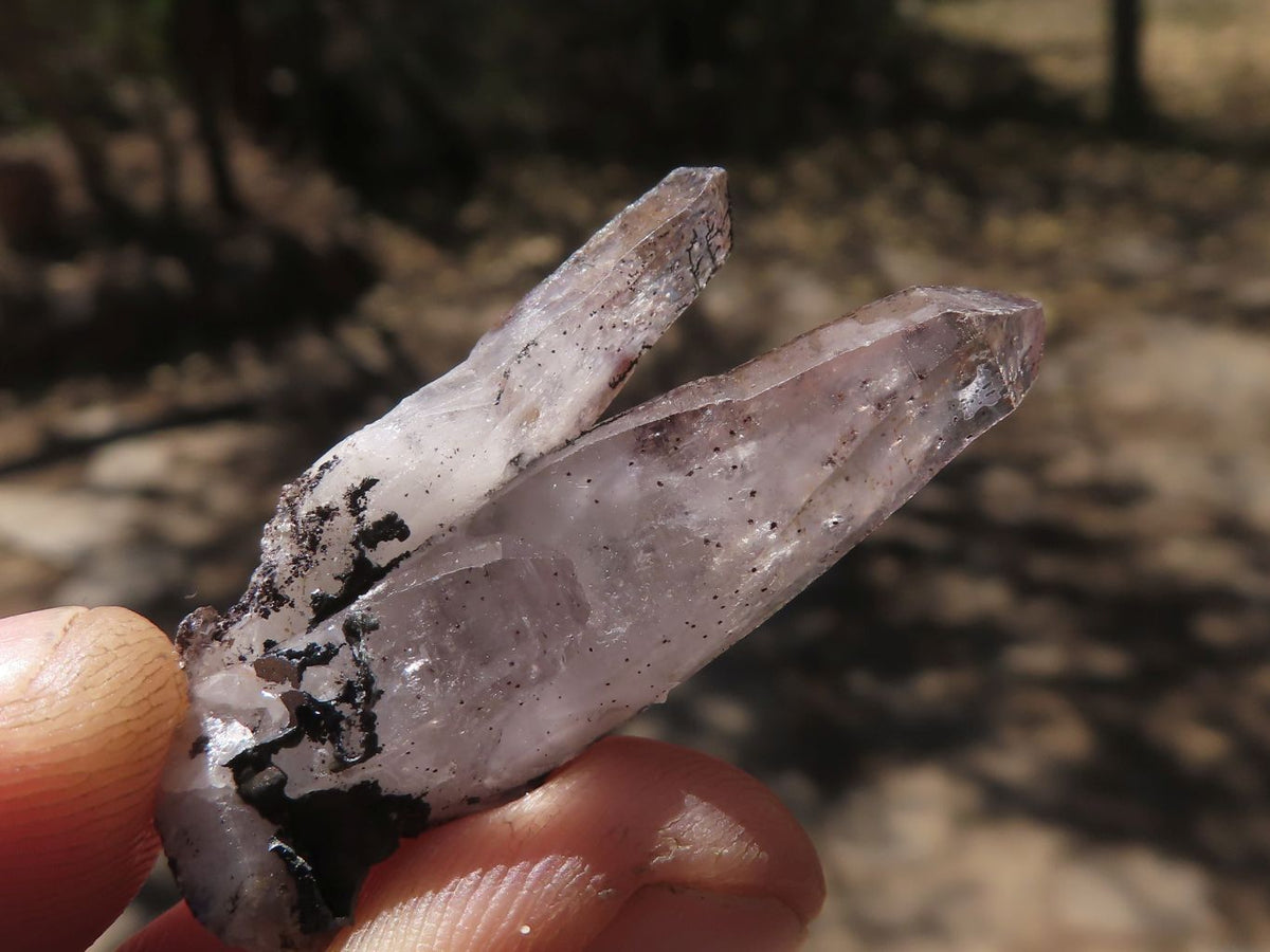 Natural Small Single Window Amethyst Crystals x 65 From Chiredzi, Zimbabwe - TopRock