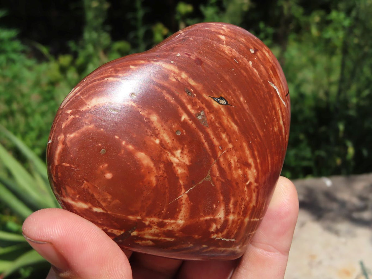 Polished Mixed Jasper Hearts x 6 From Madagascar - TopRock