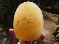 Polished Mixed Agate Standing Free Forms x 4 From West Coast, Madagascar - Toprock Gemstones and Minerals
