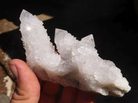 Natural Spirit Quartz Specimens  x 12 From Boekenhouthoek, South Africa - Toprock Gemstones and Minerals