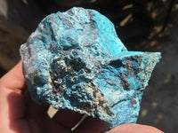 Natural Rough Shattuckite Cobbed Specimens x 12 From Kaokoveld, Namibia - Toprock Gemstones and Minerals