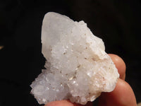 Natural Spirit Quartz Specimens  x 12 From Boekenhouthoek, South Africa - Toprock Gemstones and Minerals