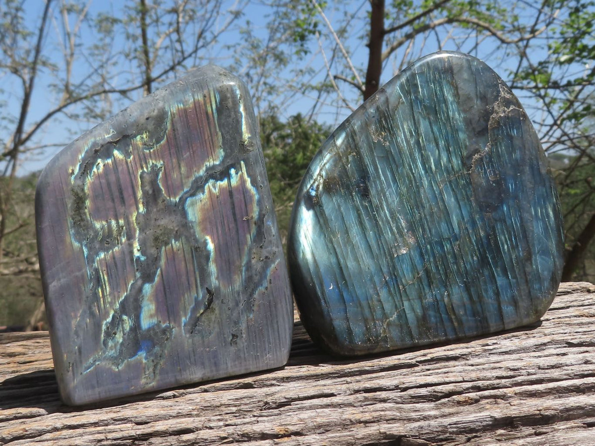 Polished Stunning Labradorite Standing Free Forms With Blue / Silver & Purple Sunset Flash x 2 From Tulear, Madagascar - TopRock
