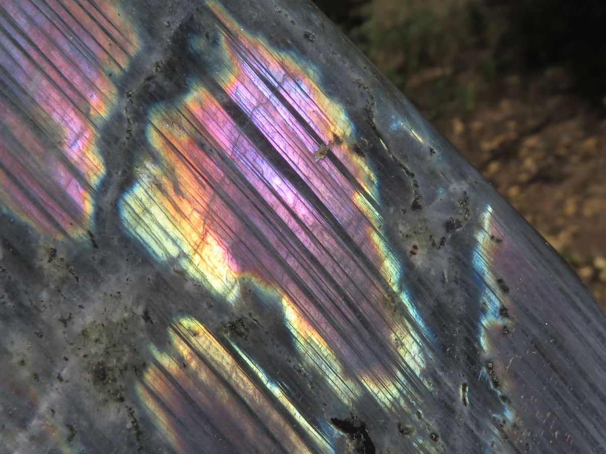 Polished Stunning Labradorite Standing Free Forms With Blue / Silver & Purple Sunset Flash x 2 From Tulear, Madagascar - TopRock