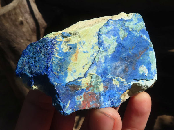 Natural Azurite & Malachite On Dolomite Specimens  x 12 From Kaokoveld, Namibia - Toprock Gemstones and Minerals 
