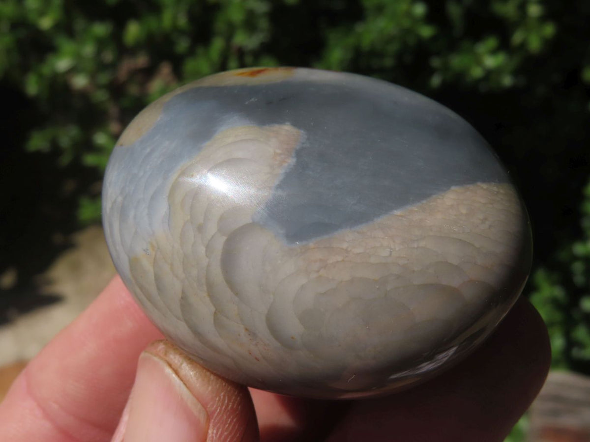 Polished Polychrome Jasper Gallets x 26 From Madagascar - TopRock